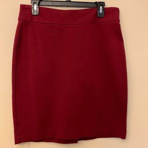 Investments Petite Skirt